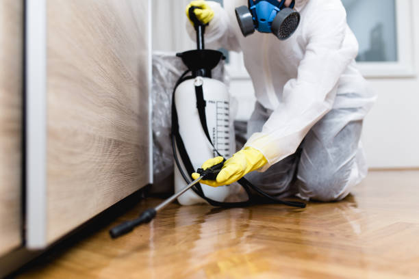 Best Affordable Pest Control Services  in Littlerock, CA
