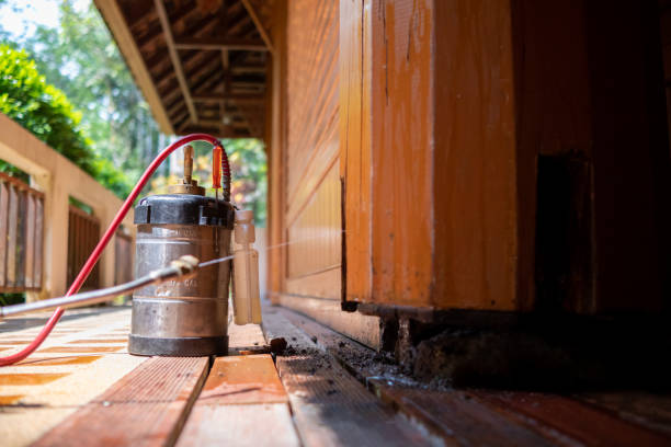 Best Insect Control  in Littlerock, CA