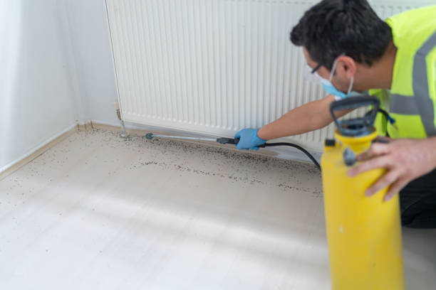 Trusted Littlerock, CA Pest Control Experts